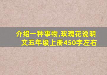 介绍一种事物,玫瑰花说明文五年级上册450字左右