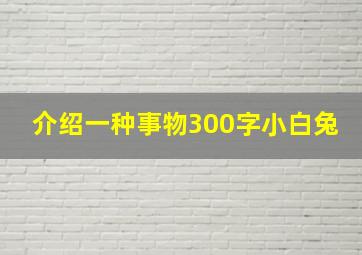 介绍一种事物300字小白兔