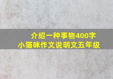 介绍一种事物400字小猫咪作文说明文五年级