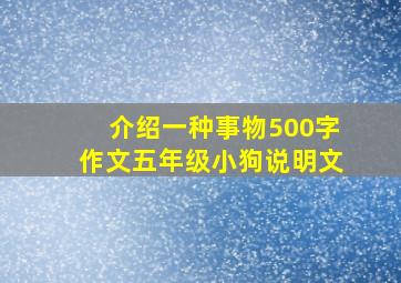 介绍一种事物500字作文五年级小狗说明文