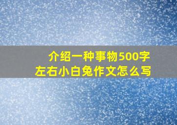 介绍一种事物500字左右小白兔作文怎么写