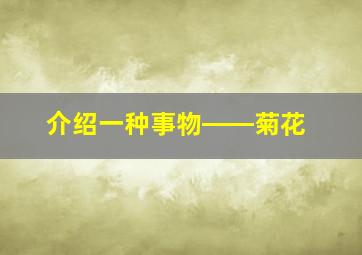 介绍一种事物――菊花