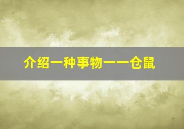 介绍一种事物一一仓鼠