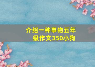 介绍一种事物五年级作文350小狗