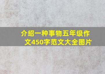 介绍一种事物五年级作文450字范文大全图片