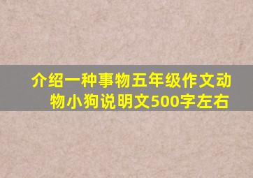 介绍一种事物五年级作文动物小狗说明文500字左右