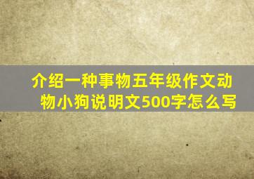 介绍一种事物五年级作文动物小狗说明文500字怎么写