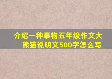 介绍一种事物五年级作文大熊猫说明文500字怎么写