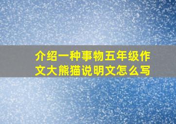 介绍一种事物五年级作文大熊猫说明文怎么写