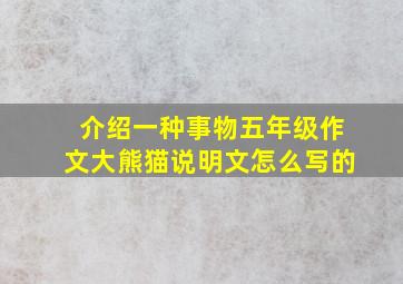 介绍一种事物五年级作文大熊猫说明文怎么写的