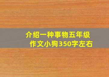 介绍一种事物五年级作文小狗350字左右