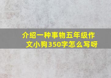 介绍一种事物五年级作文小狗350字怎么写呀