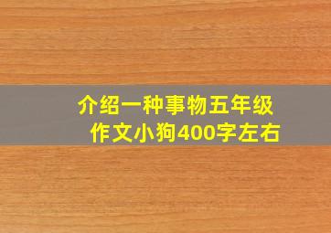 介绍一种事物五年级作文小狗400字左右