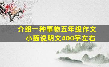 介绍一种事物五年级作文小猫说明文400字左右