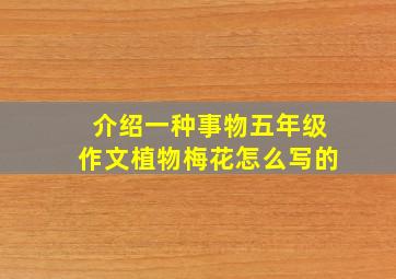 介绍一种事物五年级作文植物梅花怎么写的