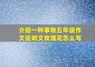 介绍一种事物五年级作文说明文玫瑰花怎么写