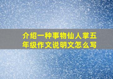 介绍一种事物仙人掌五年级作文说明文怎么写