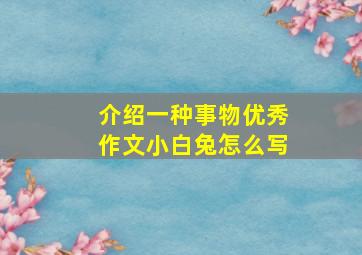 介绍一种事物优秀作文小白兔怎么写