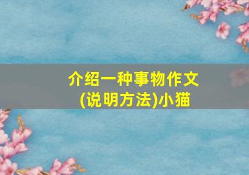 介绍一种事物作文(说明方法)小猫