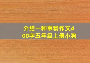 介绍一种事物作文400字五年级上册小狗