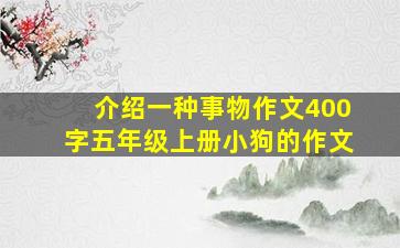 介绍一种事物作文400字五年级上册小狗的作文