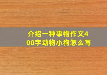 介绍一种事物作文400字动物小狗怎么写