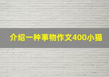 介绍一种事物作文400小猫