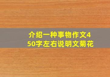 介绍一种事物作文450字左右说明文菊花