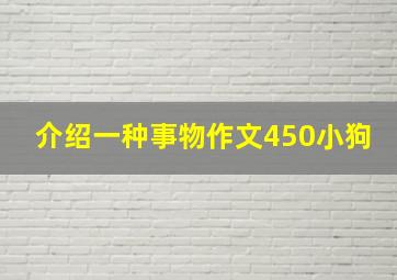 介绍一种事物作文450小狗