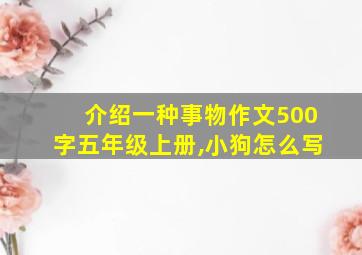 介绍一种事物作文500字五年级上册,小狗怎么写