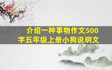 介绍一种事物作文500字五年级上册小狗说明文