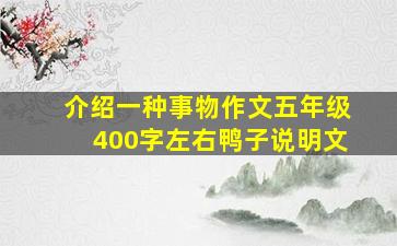 介绍一种事物作文五年级400字左右鸭子说明文