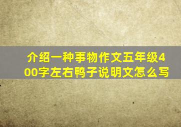 介绍一种事物作文五年级400字左右鸭子说明文怎么写