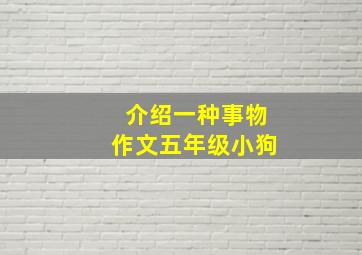 介绍一种事物作文五年级小狗