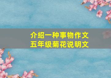 介绍一种事物作文五年级菊花说明文