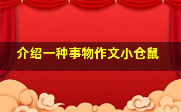 介绍一种事物作文小仓鼠