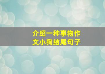 介绍一种事物作文小狗结尾句子