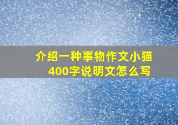 介绍一种事物作文小猫400字说明文怎么写