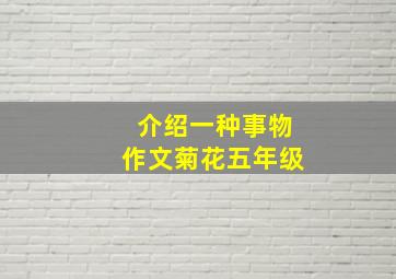 介绍一种事物作文菊花五年级