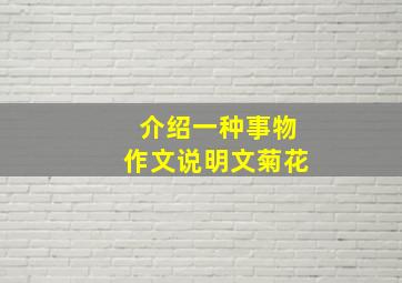 介绍一种事物作文说明文菊花