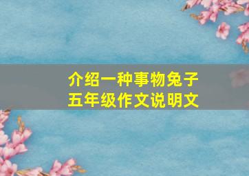 介绍一种事物兔子五年级作文说明文