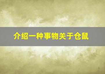 介绍一种事物关于仓鼠