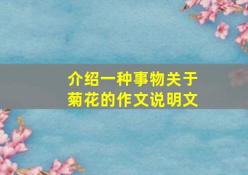 介绍一种事物关于菊花的作文说明文