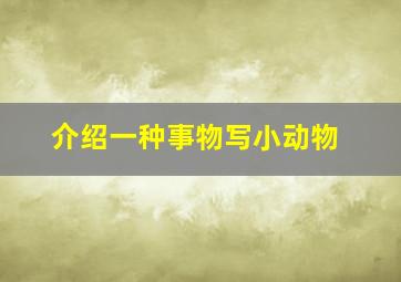 介绍一种事物写小动物