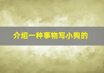 介绍一种事物写小狗的