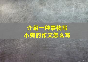 介绍一种事物写小狗的作文怎么写