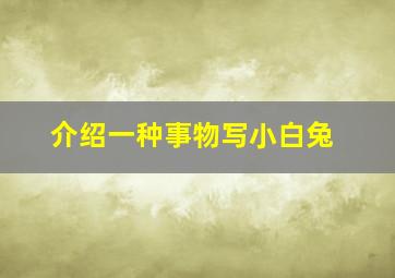 介绍一种事物写小白兔