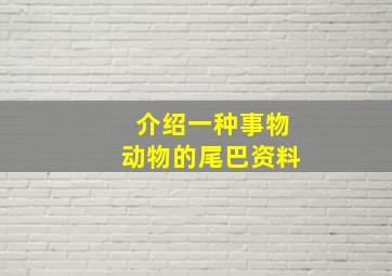 介绍一种事物动物的尾巴资料