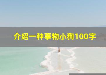 介绍一种事物小狗100字