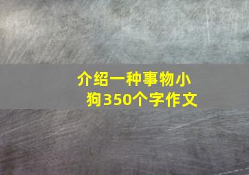 介绍一种事物小狗350个字作文